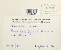 Hamatocaulis vernicosus image