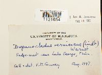 Hamatocaulis vernicosus image