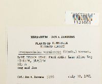 Thumbnail image of current specimen