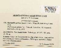 Thumbnail image of current specimen