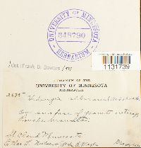 Image Associated With the Occurrence