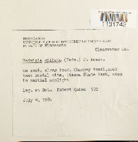 Image Associated With the Occurrence