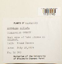 Image Associated With the Occurrence