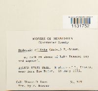 Image Associated With the Occurrence