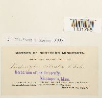 Image Associated With the Occurrence