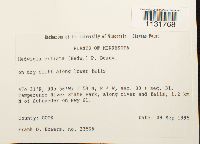 Image Associated With the Occurrence