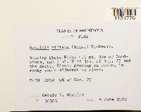 Image Associated With the Occurrence