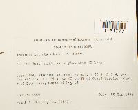 Image Associated With the Occurrence