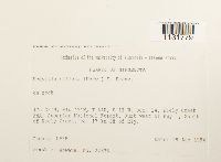 Image Associated With the Occurrence