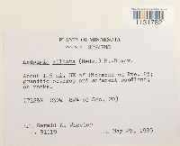 Image Associated With the Occurrence