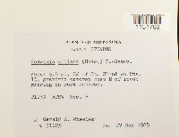 Image Associated With the Occurrence