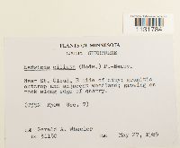 Image Associated With the Occurrence