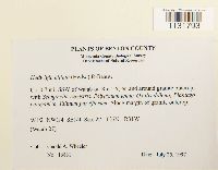 Image Associated With the Occurrence