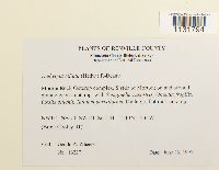 Image Associated With the Occurrence