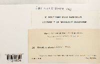 Image Associated With the Occurrence