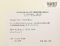 Image Associated With the Occurrence