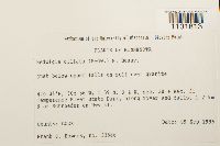 Image Associated With the Occurrence