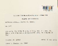 Image Associated With the Occurrence