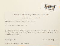 Image Associated With the Occurrence