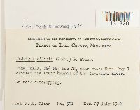 Image Associated With the Occurrence