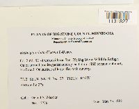 Image Associated With the Occurrence