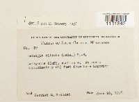 Image Associated With the Occurrence