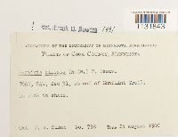 Image Associated With the Occurrence