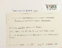 Image Associated With the Occurrence