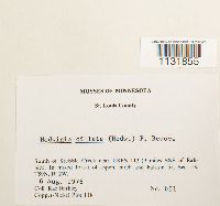 Image Associated With the Occurrence