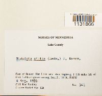 Image Associated With the Occurrence