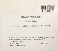 Image Associated With the Occurrence