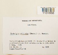 Image Associated With the Occurrence