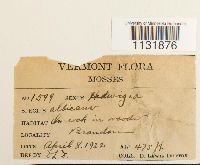 Image Associated With the Occurrence