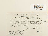 Image Associated With the Occurrence