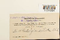 Image Associated With the Occurrence