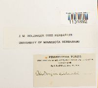 Image Associated With the Occurrence