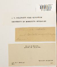 Image Associated With the Occurrence