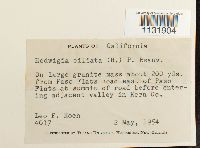 Image Associated With the Occurrence