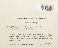 Image Associated With the Occurrence