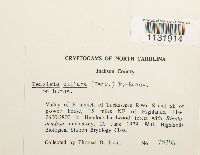 Image Associated With the Occurrence