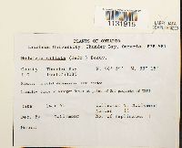 Image Associated With the Occurrence