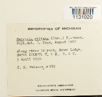 Image Associated With the Occurrence