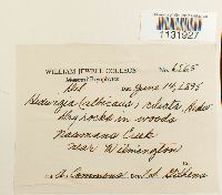 Image Associated With the Occurrence