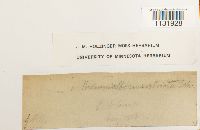 Image Associated With the Occurrence