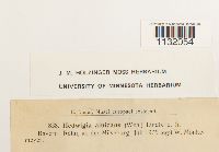 Image Associated With the Occurrence