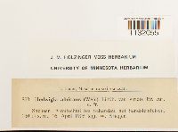 Image Associated With the Occurrence