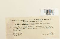 Image Associated With the Occurrence