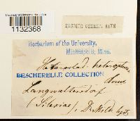 Image Associated With the Occurrence