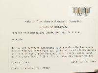 thumbnail image of current specimen