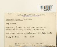 thumbnail image of current specimen
